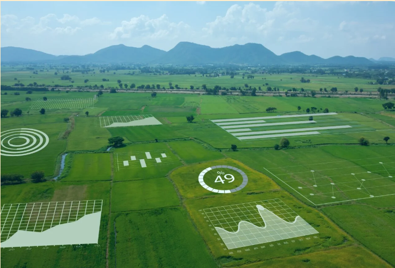 Entenda a importância da ciência de dados agrícolas