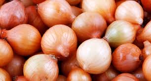 Epagri divulga estimativas iniciais da safra de inverno 2025/26 em Santa Catarina