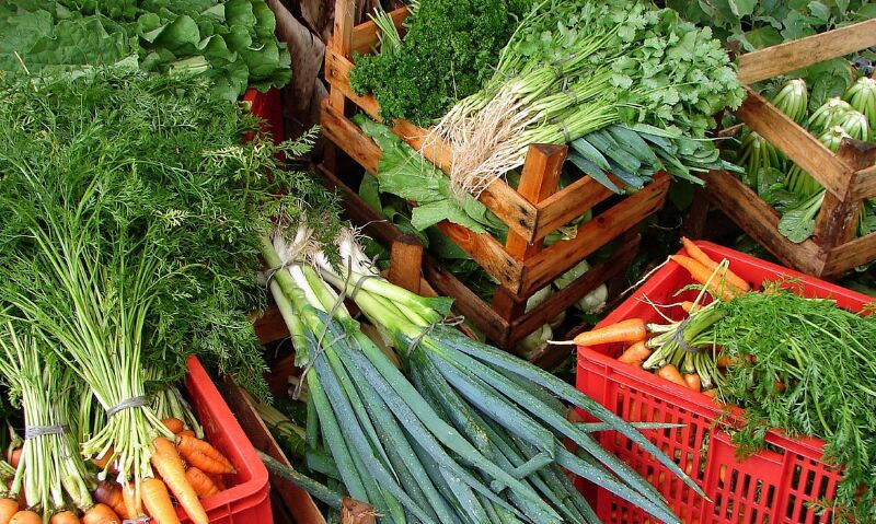 Hortifruti: Expansão e Exportação